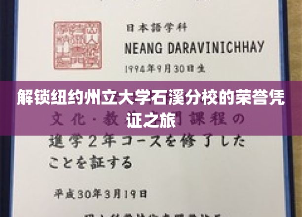 探寻纽约州立大学石溪分校的荣耀印记之路