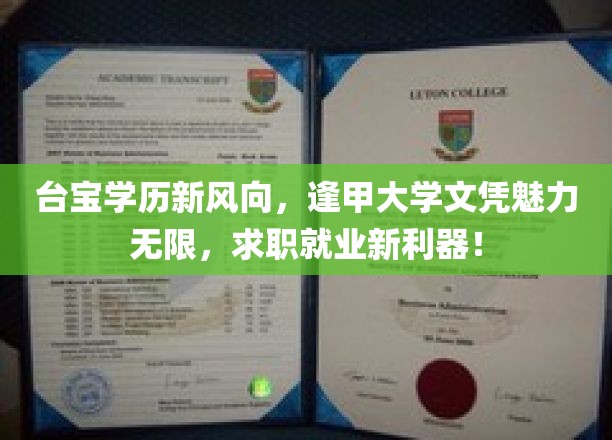 逢甲大学文凭新宠，台宝求职新趋势揭秘！