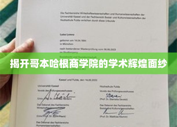 揭开哥本哈根商学院的学术辉煌面纱