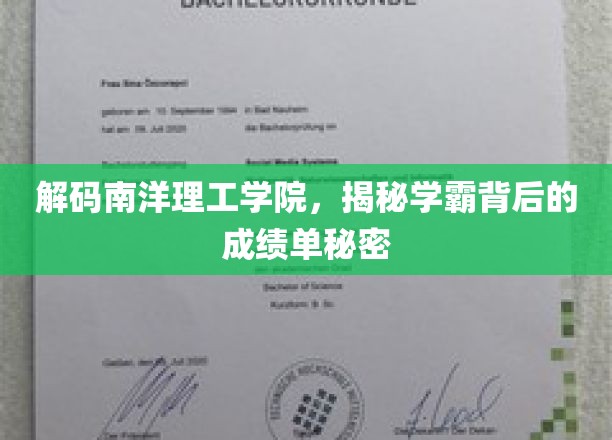 南洋理工学院学霸养成记，揭秘成绩单背后的奥秘