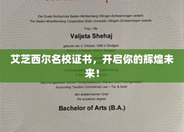艾芝西尔名校通行证，你的璀璨前程启航站