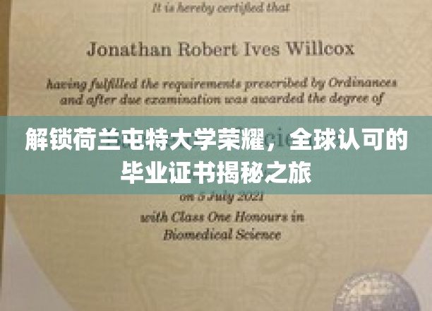 解锁荷兰屯特大学荣耀，全球认可的毕业证书揭秘之旅
