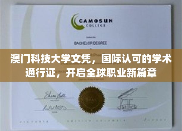 澳门科大文凭，解锁全球职场新天地