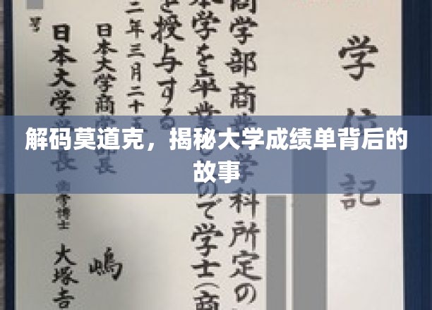 解码莫道克，揭秘大学成绩单背后的故事
