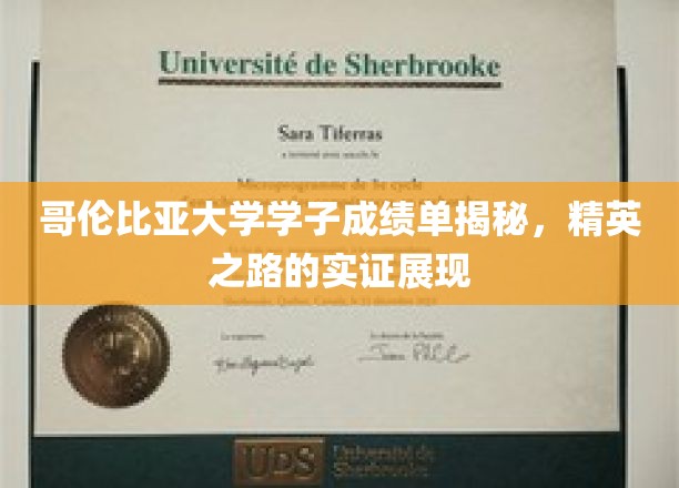 哥伦比亚大学学霸风采大揭秘，揭秘精英之路的实证轨迹