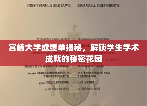 宫崎大学成绩单背后，揭开学子学术辉煌的神秘之门
