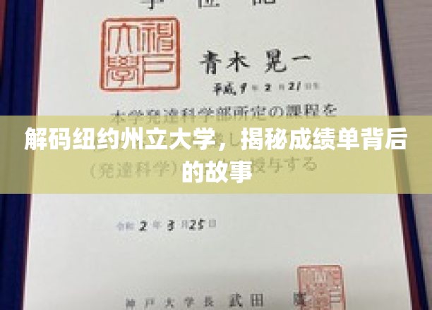 揭开纽约州立大学成绩单的神秘面纱
