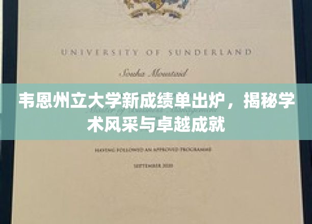 韦恩州立大学新成绩单出炉，揭秘学术风采与卓越成就