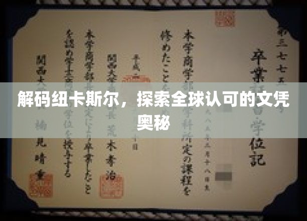 揭秘纽卡斯尔，全球文凭背后的非凡魅力