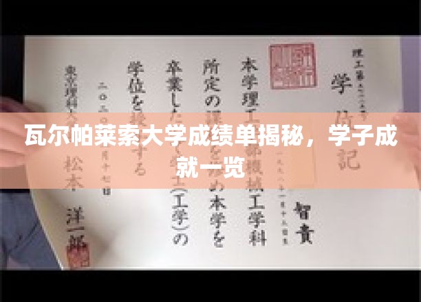 瓦尔帕莱索大学精英风采，学子卓越成就大公开