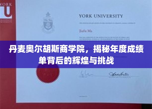 丹麦奥尔胡斯商学院，揭秘年度成绩单背后的辉煌与挑战