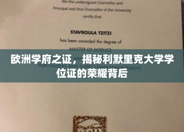 利默里克大学学位证，探寻欧洲学府的荣耀密码