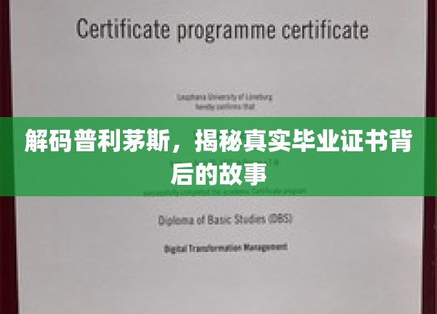 探寻普利茅斯奥秘，毕业证书背后的不为人知篇章