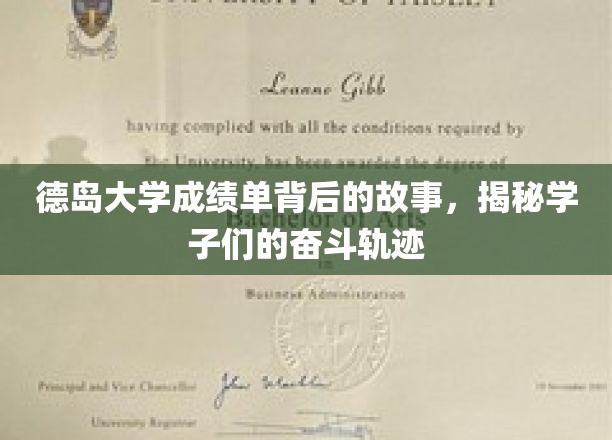 德岛学子足迹，揭开成绩单背后的励志篇章