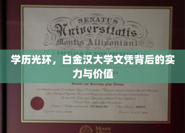 白金汉荣耀，探究顶级学历背后的无限价值