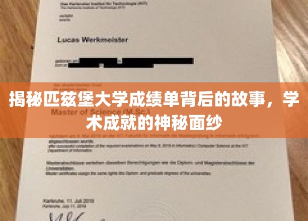 揭秘匹兹堡大学成绩单背后的故事,学术成就的神秘面纱