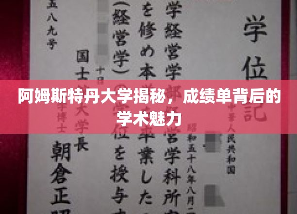 阿姆斯特丹大学揭秘，成绩单背后的学术魅力