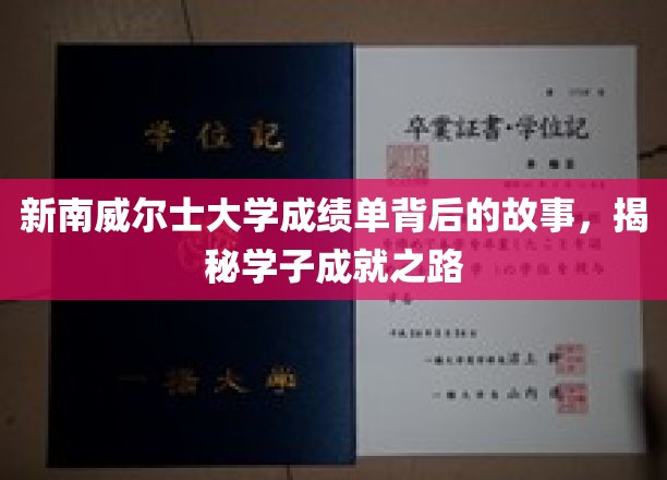 解码新南威尔士大学成绩单，探索学子非凡成就背后的旅程