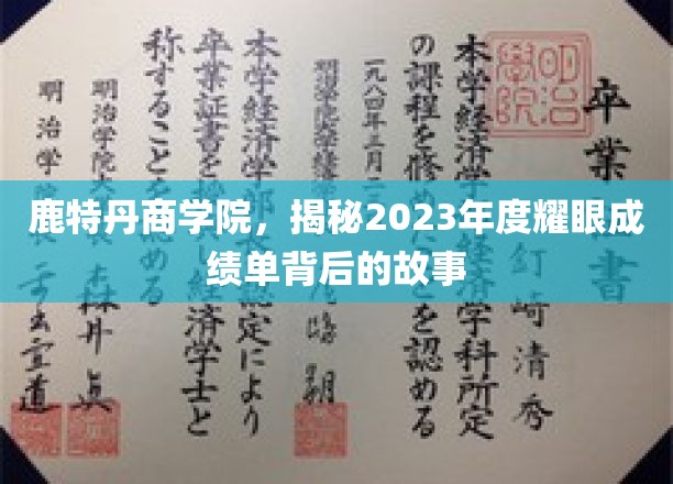 鹿特丹商学院，2023年度璀璨成绩背后的闪耀轨迹