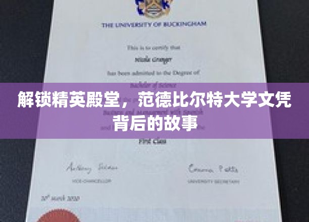 揭开范德比尔特大学精英光环，探寻文凭背后的传奇历程