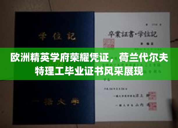 荷兰代尔夫特理工荣耀证照，欧洲顶尖学府的学术风采一览无遗