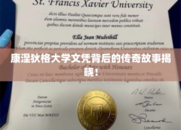 康涅狄格大学文凭背后的惊人传奇，揭秘精英背后的非凡历程！