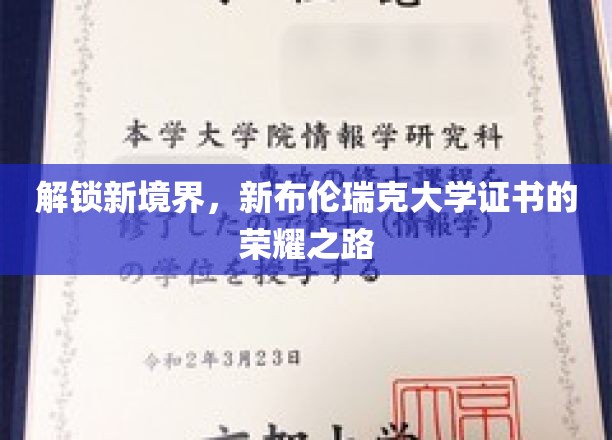 迈向未来巅峰，新布伦瑞克大学证书成就非凡时刻