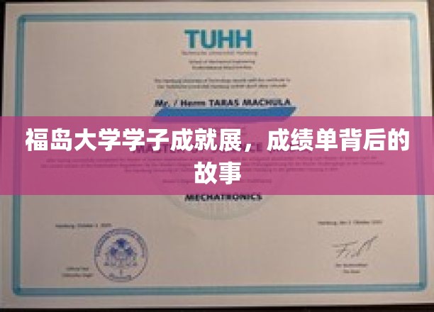 福岛学子荣耀之路，揭秘成绩背后的奋斗篇章