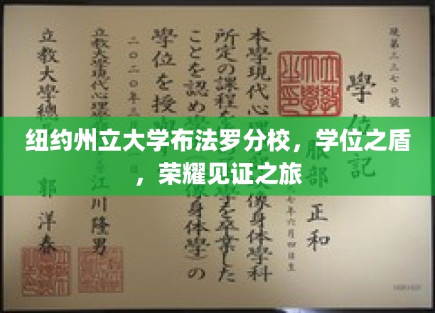 纽约州立大学布法罗分校，学位之盾，荣耀见证之旅