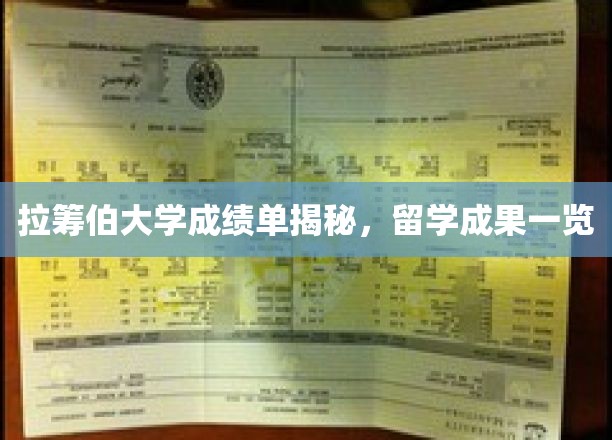 留学背后的真实成绩，探秘拉筹伯大学学子成就风采