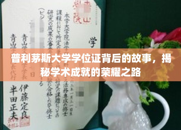 普利茅斯大学学位证背后的故事，揭秘学术成就的荣耀之路