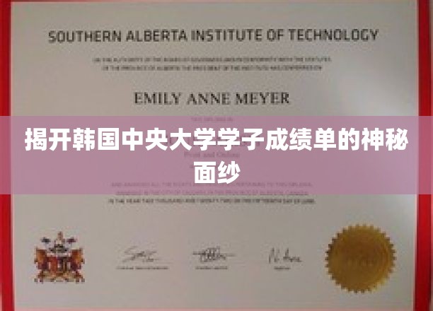 揭开韩国中央大学学子成绩单的神秘面纱