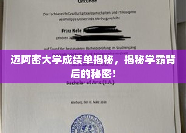 迈阿密大学成绩单揭秘，揭秘学霸背后的秘密！