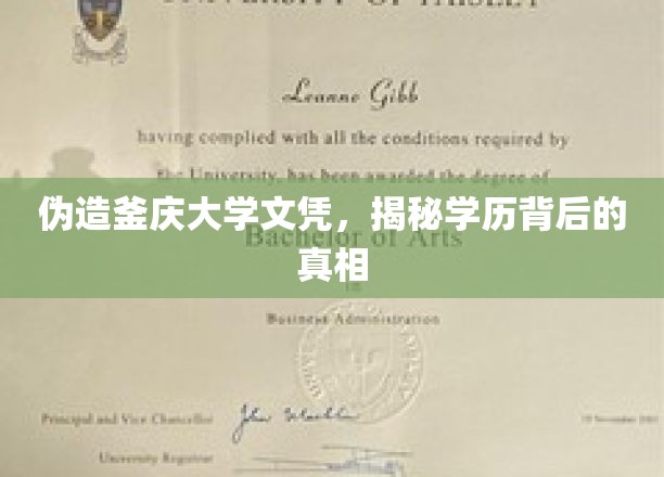 学历迷雾，釜庆大学文凭背后的惊人真相！