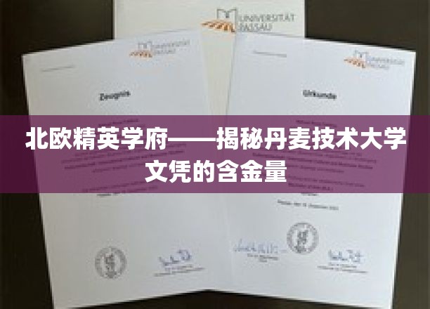 丹麦技术大学文凭，北欧精英学府的金钥匙