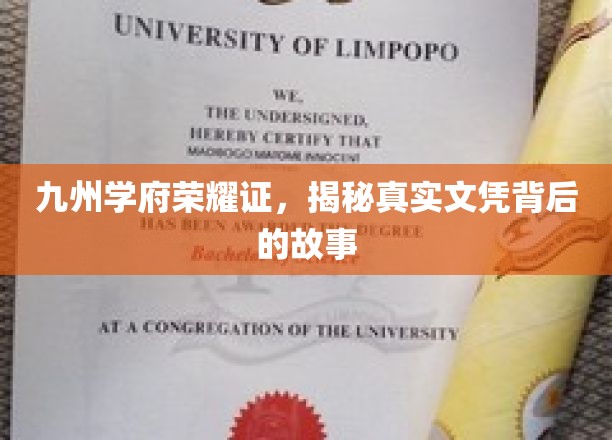 文凭背后，九州学府的荣耀之路