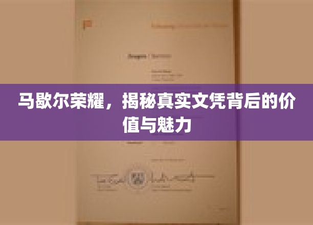 马歇尔荣耀揭秘，文凭背后不为人知的深层价值与风采
