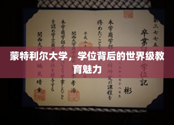 探索蒙特利尔大学，学位背后的国际教育瑰宝