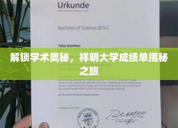 探寻学海深处的秘密，揭秘大学成绩单背后的学术传奇