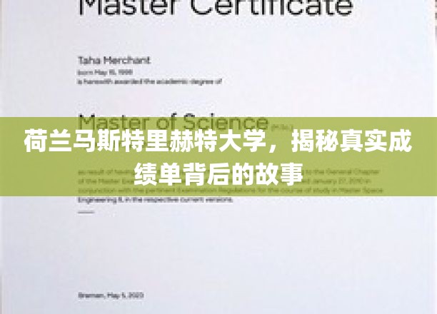 探秘荷兰马斯特里赫特大学，揭开成绩单背后的真实面纱