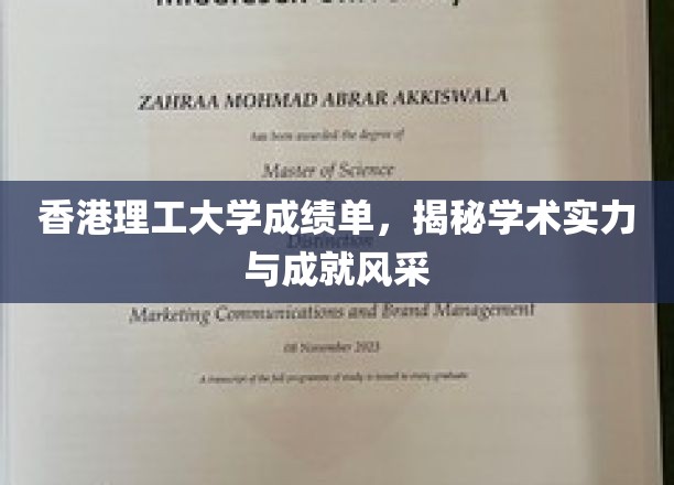 港理工学子风采录，揭秘学术实力背后的耀眼成就
