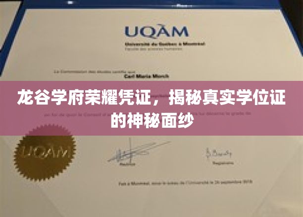 龙谷学府荣耀凭证，一探究竟学位证的奥秘