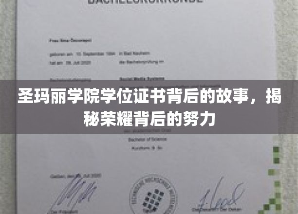 圣玛丽学院学位证书背后的故事，揭秘荣耀背后的努力
