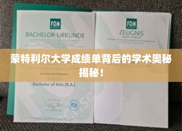蒙特利尔大学成绩单，解锁学霸背后的学术秘密