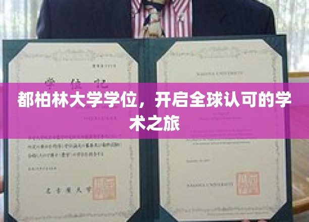 跨越国界，都柏林大学学位引领你的国际学术征程