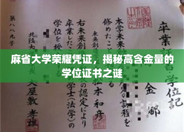 解码麻省大学证书魅力，探索顶级学位的神秘价值