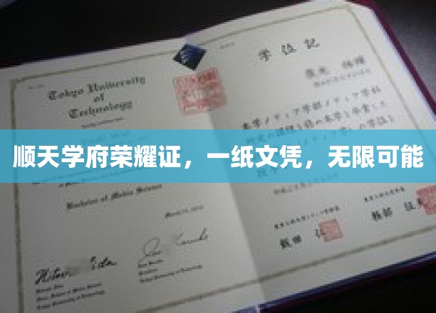 顺天学府荣耀启航，文凭铸就无限未来之路