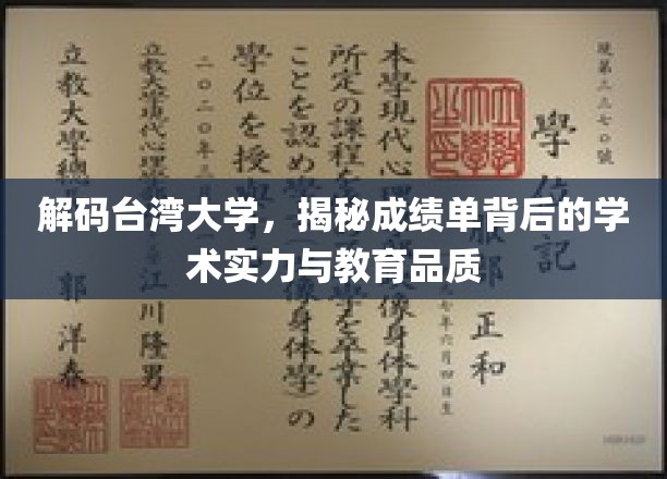 解码台大秘境，探索成绩单背后的学术辉煌与教育卓越