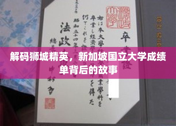 解码狮城精英，新加坡国立大学成绩单背后的故事