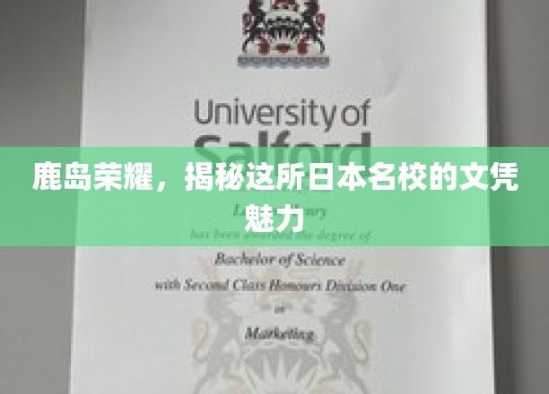 鹿岛荣耀，揭秘这所日本名校的文凭魅力